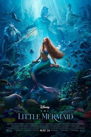 stefano tomadini the little mermaid|The Little Mermaid (2023 film)